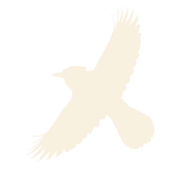 Description of image