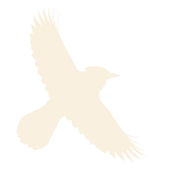 Description of image