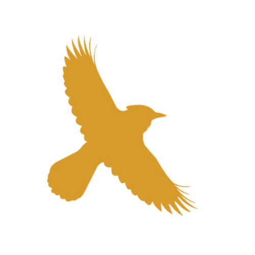 Description of image