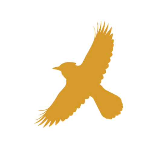 Description of image